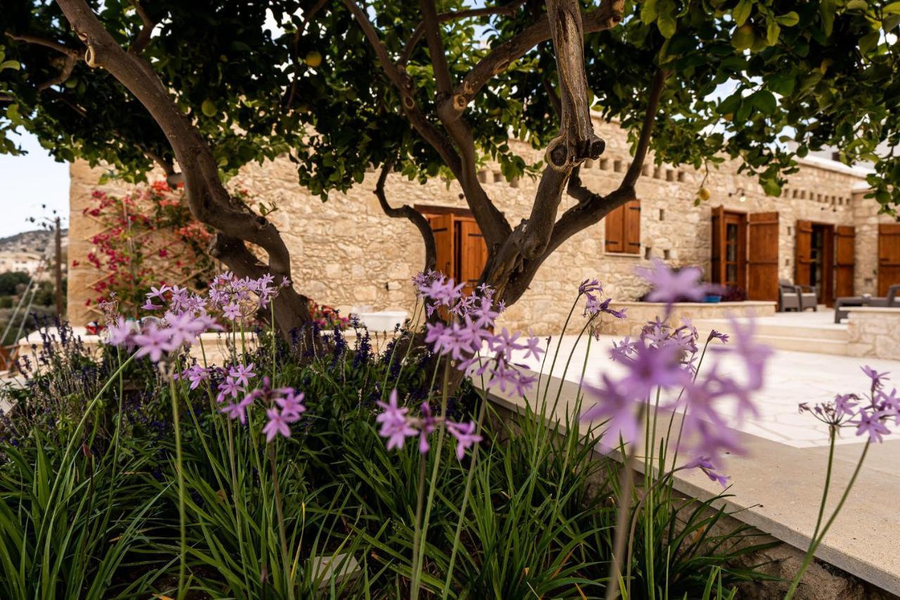 Harma Traditional Boutique Suites Πάφος Εξωτερικό φωτογραφία